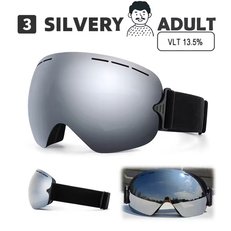 Ski Goggles